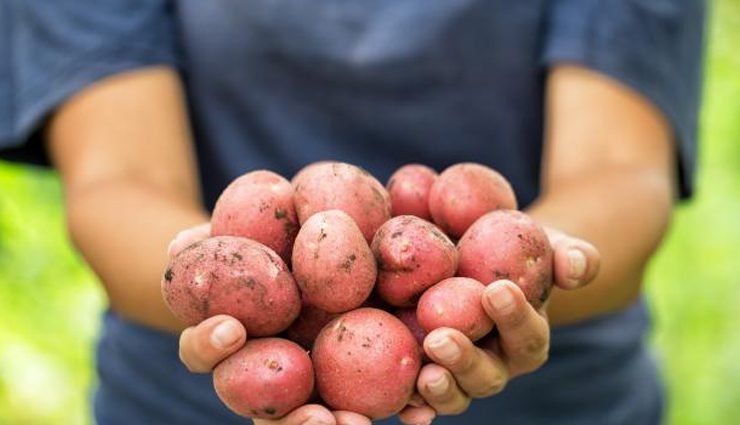 red-potatoes-the clutter