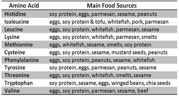 Essential-amino-acids-food-sources-the clutter