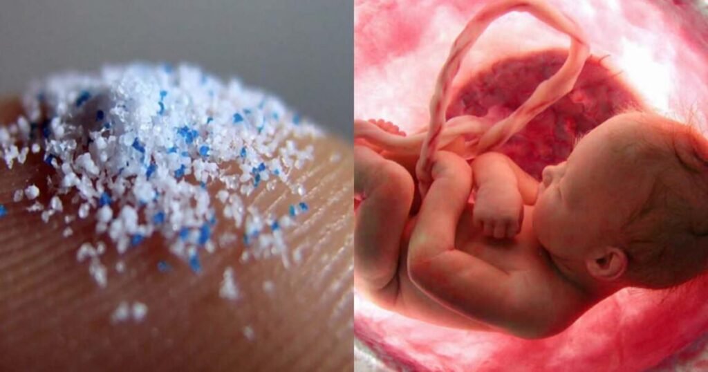 microplastic found in the human placentas-the clutter