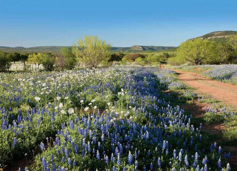 Texas Hill Country-the clutter