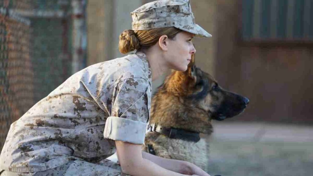Megan Leavey-the clutter